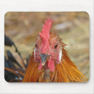 Mousepad Phoenix mantém a câmera para baixo