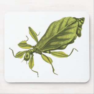 Mousepad Phyllium Siccifolia