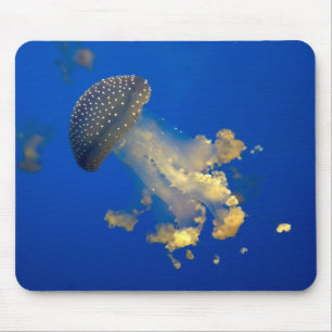 Mousepad Phyllorhiza punctata