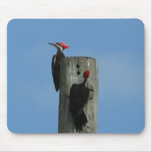 Mousepad Pica-Pau
