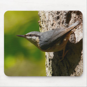 Mousepad Pica-pau-cinzento