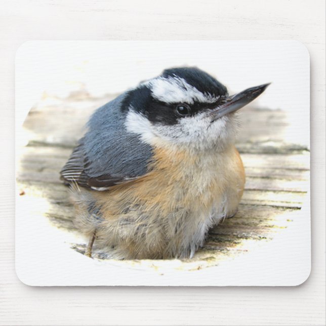 Mousepad Pica-pau-cinzento de peito encarnado (Frente)