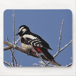 Mousepad Pica-pau-pintado bonito