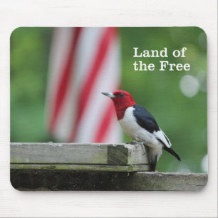 Mousepad pica-pau Vermelho-dirigido 2