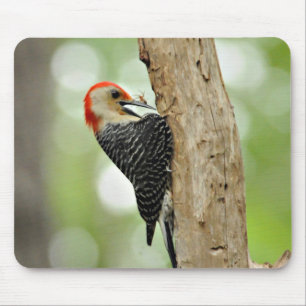 Mousepad Pica-pau Vermelho-Inchado