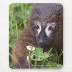 Mousepad Picting Clover Mousemat