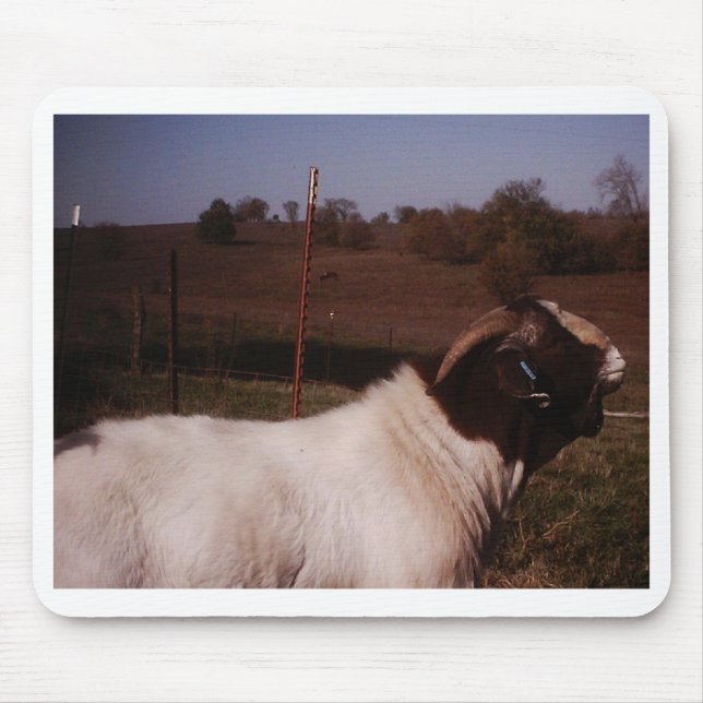 Mousepad pictures024 (Frente)