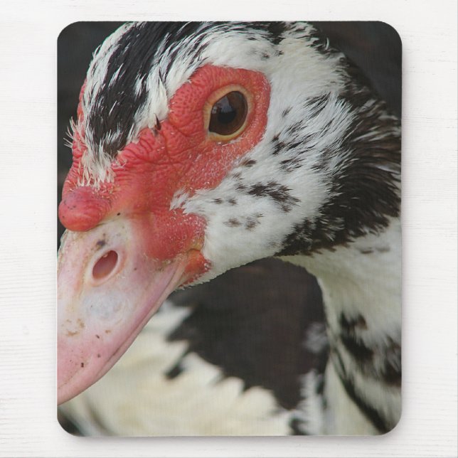 Mousepad Pie diz, "Oi!" (Frente)