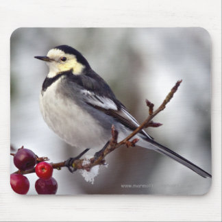 Mousepad Pied Wagtail Mousemat