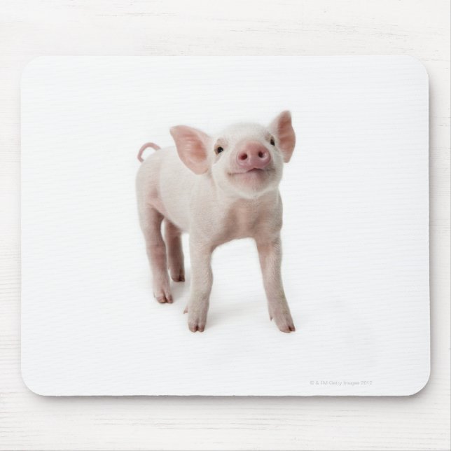 Mousepad Pig em Pé Procurando (Frente)