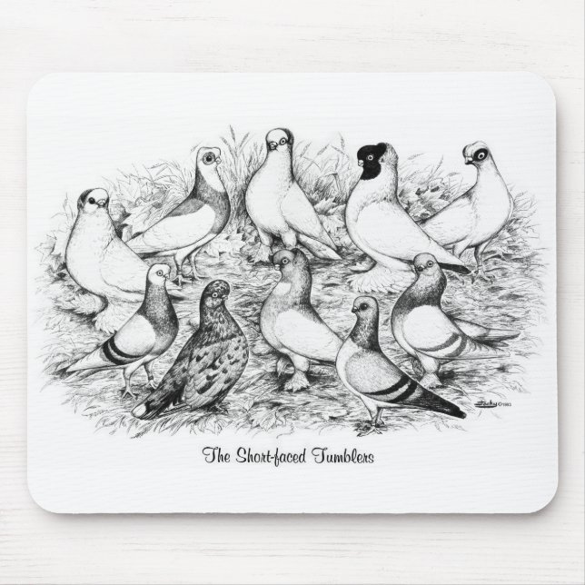 Mousepad Pigeons de Tumbler de faces curtas (Frente)