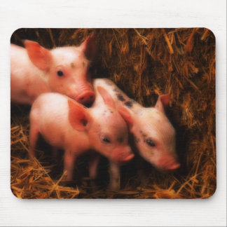 Mousepad PIggies