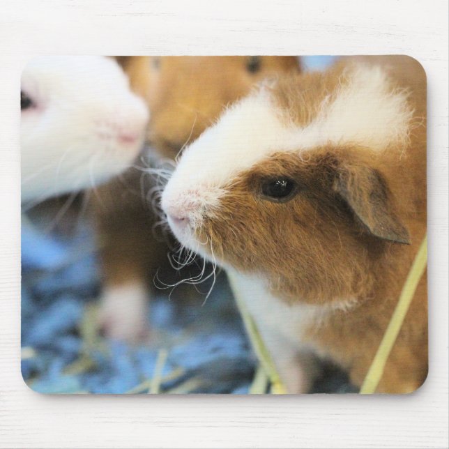 Mousepad Piggy (Frente)