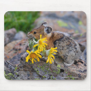 Mousepad Pika