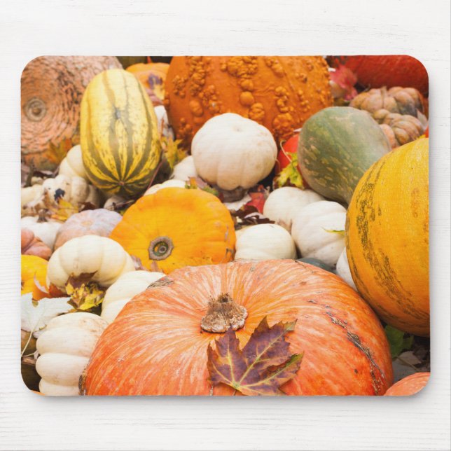 Mousepad Pilha de Abóboras e Cabaças (Frente)