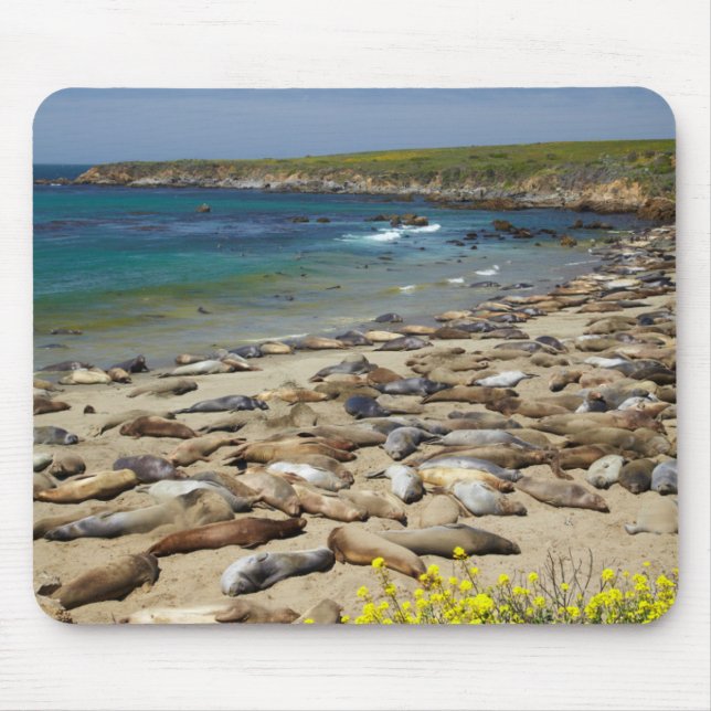 Mousepad Pilha de Elefantes-Marinhos (Frente)