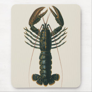 Mousepad Pinças de Lagosta Vida Marinha Antiga Oceano Crust