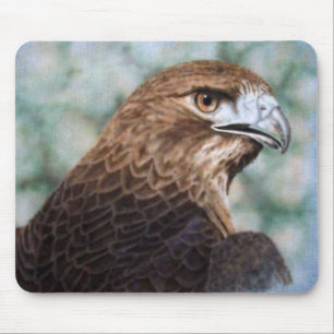 Mousepad Pincel de avião Hawk de cauda vermelha