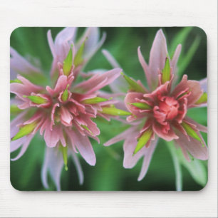 Mousepad Pincel Indiano, Banff NP, Alberta, Canadá