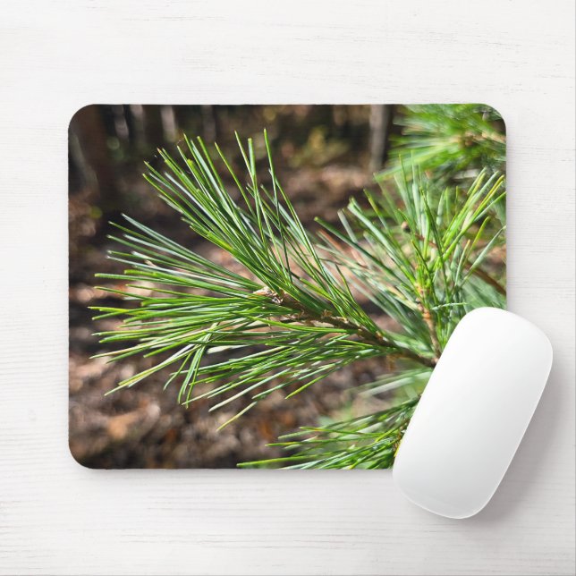Mousepad Pine Tree Needles In Sunlight (Com mouse)