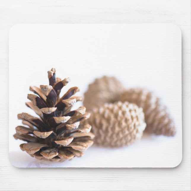 Mousepad Pinecones (Frente)
