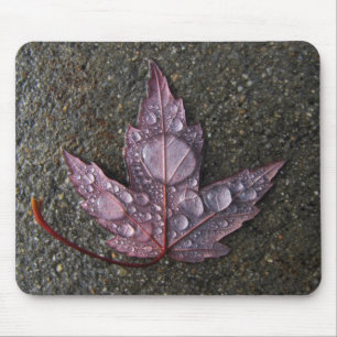 Mousepad Pingos de chuva na folha