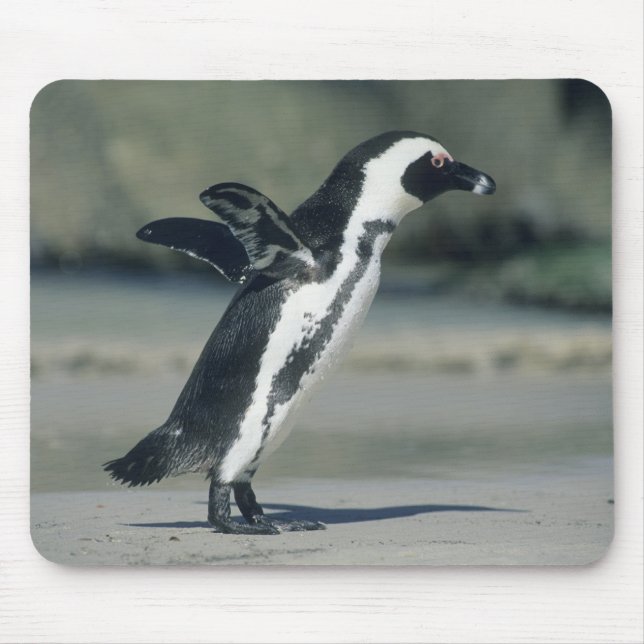 Mousepad Pinguim Africano (Frente)