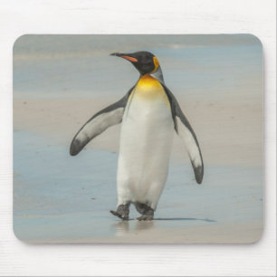 Mousepad Pinguim andando na praia