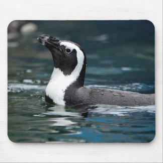 Mousepad Pinguim da natação
