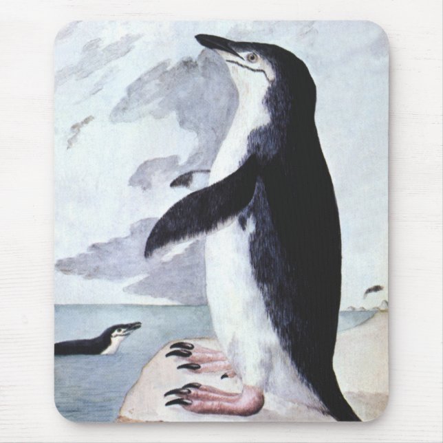 Mousepad Pinguim-de-barrete Antigo, Aves da Antártida (Frente)