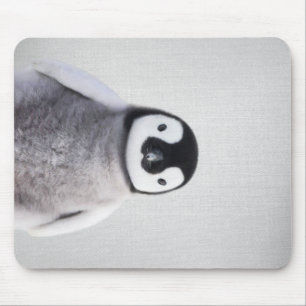 Mousepad Pinguim De Bebê Branco E Preto