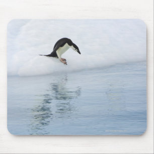 Mousepad Pinguim de Gentoo (Pygoscelis papua)