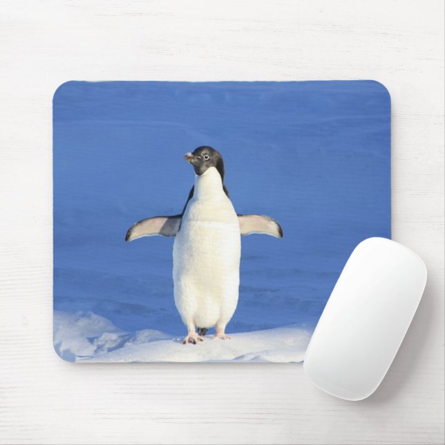 Mousepad Pinguim engraçado na foto do gelo (Com mouse)