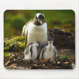Mousepad Pinguim-mamãe e bebês