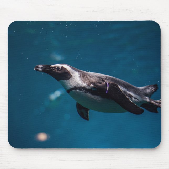 Mousepad Pinguim nadando no mar. (Frente)