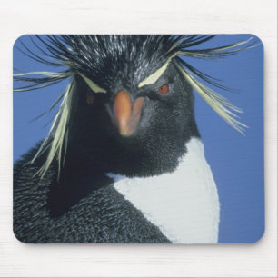 Mousepad Pinguim Saltador-rochoso (Eudyptes chrysocome)