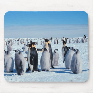 Mousepad pinguins