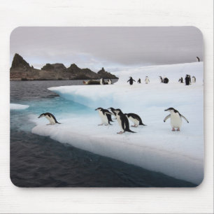 Mousepad Pinguins-de-barbicha