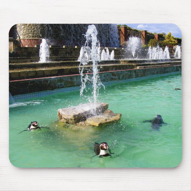 Mousepad Pinguins de Humboldt e pinguins-chafariz (Frente)