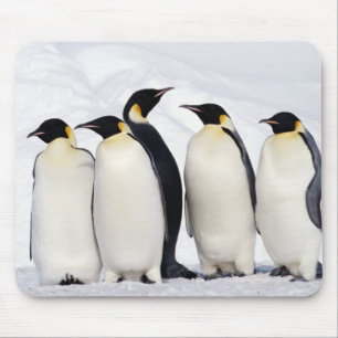 Mousepad Pinguins de imperador