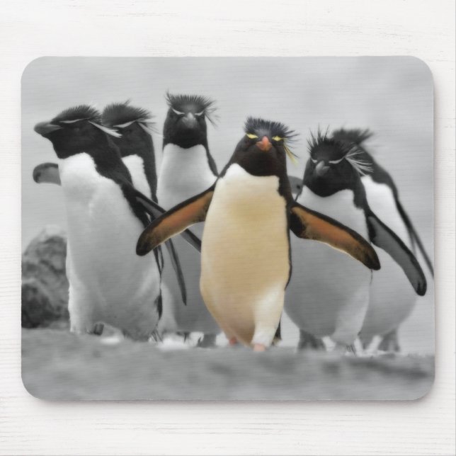 Mousepad Pinguins de Rockhopper (Frente)