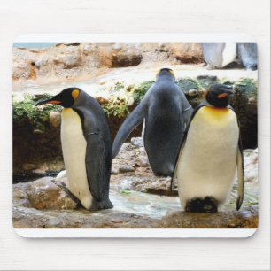 Mousepad Pinguins do Rei