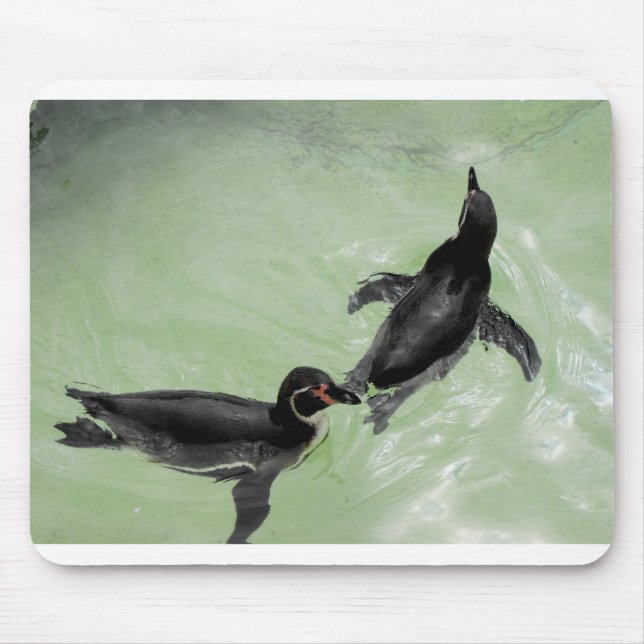 Mousepad Pinguins Humboldt (Frente)