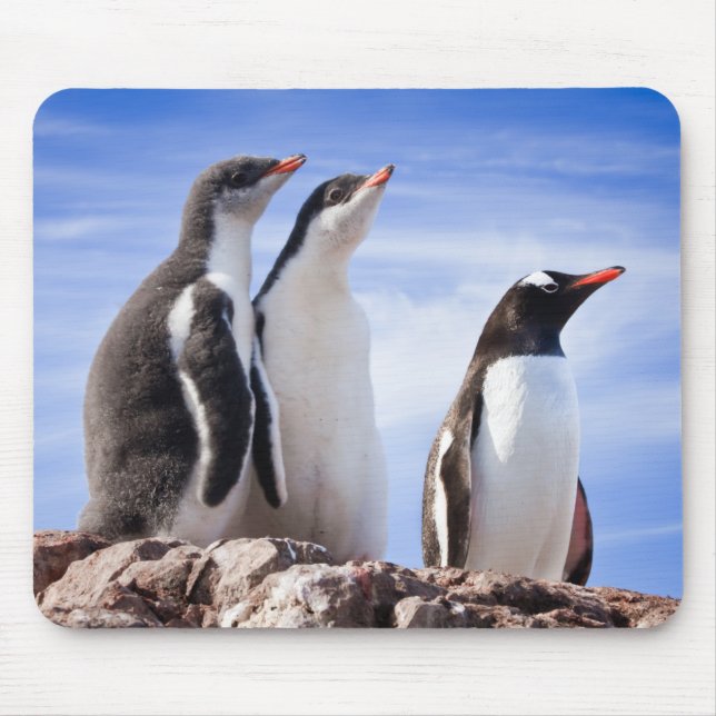 Mousepad Pinguins na Antártica (Frente)