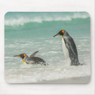 Mousepad Pinguins nadando na praia