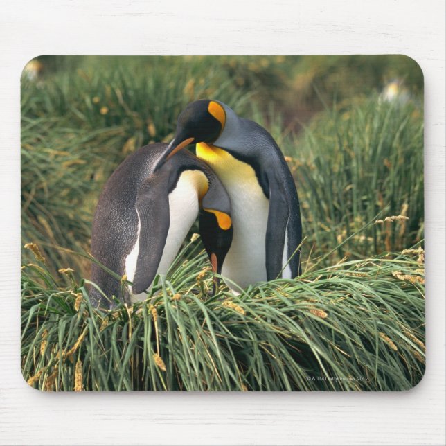 Mousepad Pinguins-rei (Frente)