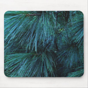 Mousepad Pinheiros Russos pinhal coníferas verdes