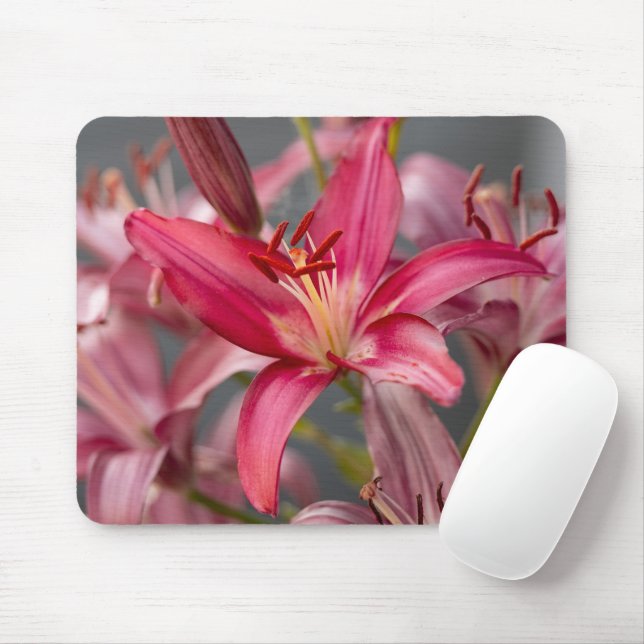 Mousepad Pink Asiatic Lily, Botanical Flower Photo (Com mouse)