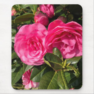 Mousepad Pink Camellia