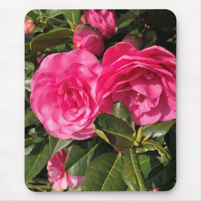 Mousepad Pink Camellia (Frente)